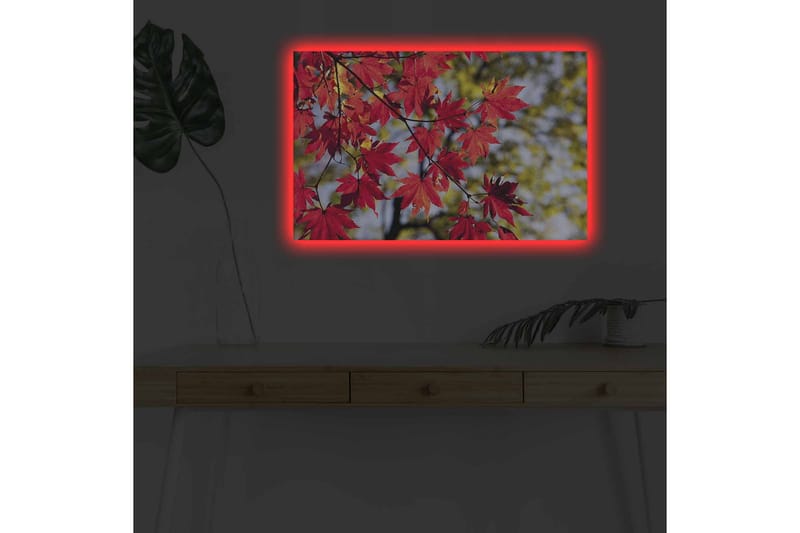 Lærredsbillede med LED-belysning - Klare røde ahornblade hængende fra en gren - Rød / Grøn - Boligtilbehør - Billeder & kunst - Billeder på lærred