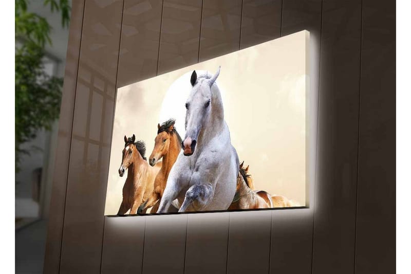 Lærredsbillede med LED-belysning - Løbende heste i en dynamisk komposition - Hvid / Brun / Beige - Boligtilbehør - Billeder & kunst - Billeder på lærred