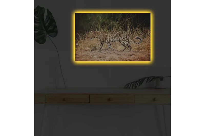 Lærredsbillede med LED-belysning - Leopard sniger sig gennem det tørre græs - Gyldenbrun / Sort / Hvid - Boligtilbehør - Billeder & kunst - Billeder på lærred