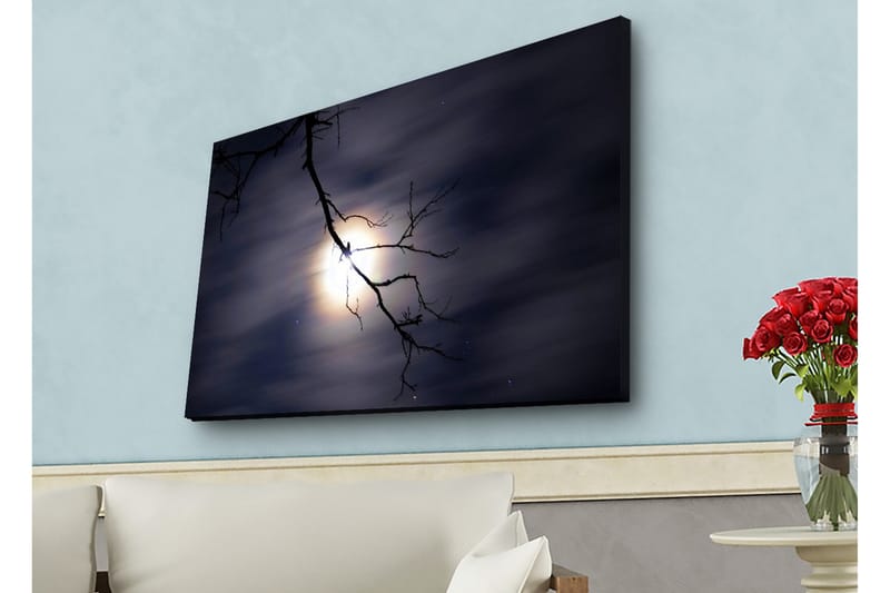 Lærredsbillede med LED-belysning - Månen skinner gennem mørke skyer med en gren i forgrunden, Mørkeblå / Sort / Hvid