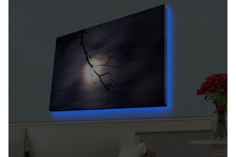 Lærredsbillede med LED-belysning - Månen skinner gennem mørke skyer med en gren i forgrunden - Mørkeblå / Sort / Hvid - Boligtilbehør - Billeder & kunst - Billeder på lærred