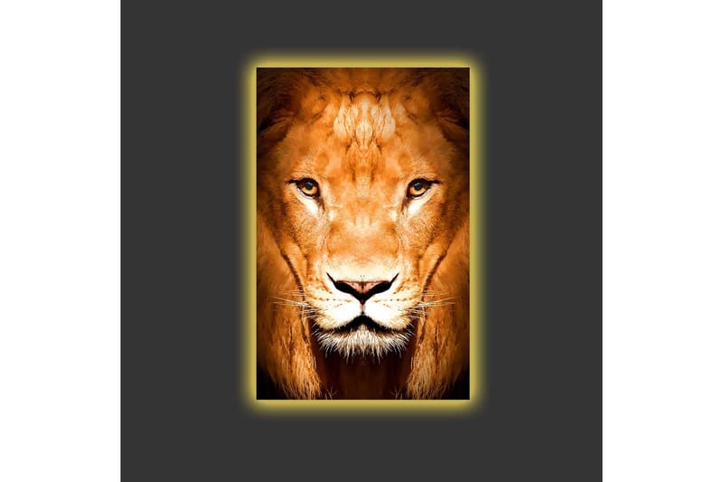 Lærredsbillede med LED-belysning - Majestætisk løvehoved nærbillede - Guld / Brun / Sort - Boligtilbehør - Billeder & kunst - Billeder på lærred