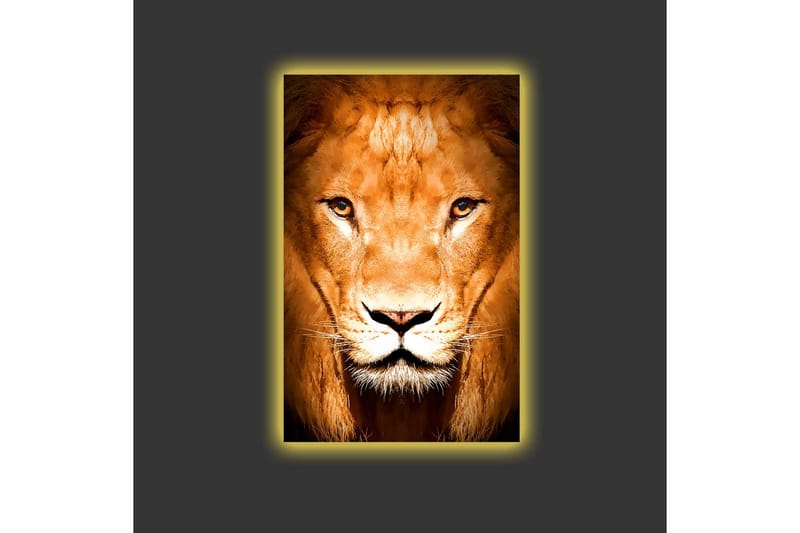 Lærredsbillede med LED-belysning - Majestætisk løvehoved nærbillede - Guld / Brun / Sort - Boligtilbehør - Billeder & kunst - Billeder på lærred