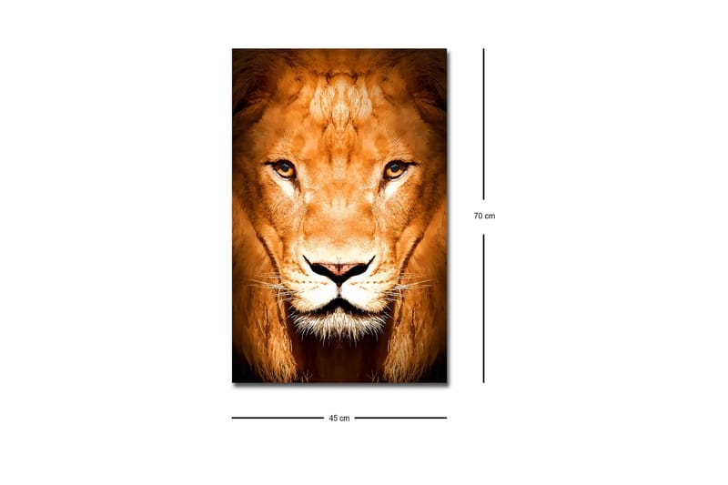 Lærredsbillede med LED-belysning - Majestætisk løvehoved nærbillede - Guld / Brun / Sort - Boligtilbehør - Billeder & kunst - Billeder på lærred