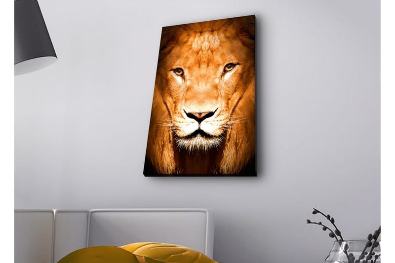 Lærredsbillede med LED-belysning - Majestætisk løvehoved nærbillede - Guld / Brun / Sort - Boligtilbehør - Billeder & kunst - Billeder på lærred