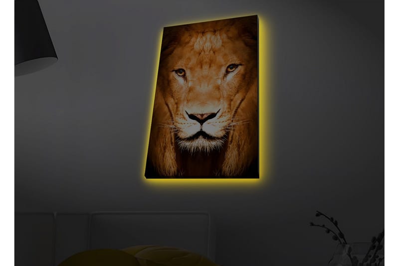 Lærredsbillede med LED-belysning - Majestætisk løvehoved nærbillede, Guld / Brun / Sort