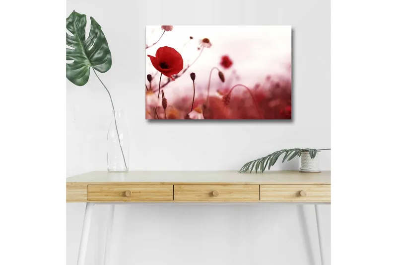 Lærredsbillede med LED-belysning - Røde valmuer i en blødt sløret blomstereng, Rød / Pink / Grøn