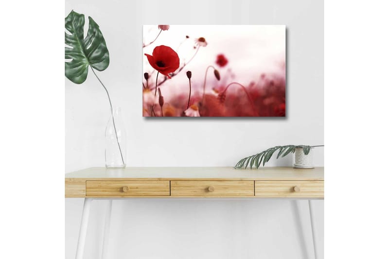 Lærredsbillede med LED-belysning - Røde valmuer i en blødt sløret blomstereng, Rød / Pink / Grøn