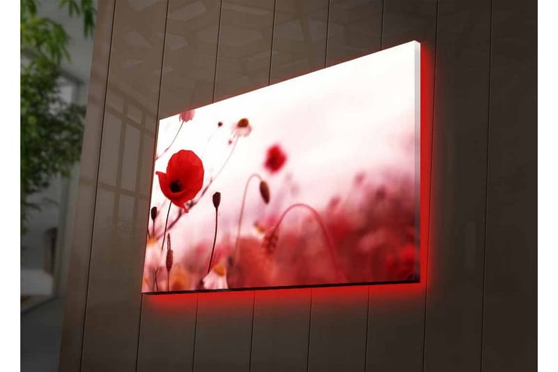 Lærredsbillede med LED-belysning - Røde valmuer i en blødt sløret blomstereng - Rød / Pink / Grøn - Boligtilbehør - Billeder & kunst - Billeder på lærred