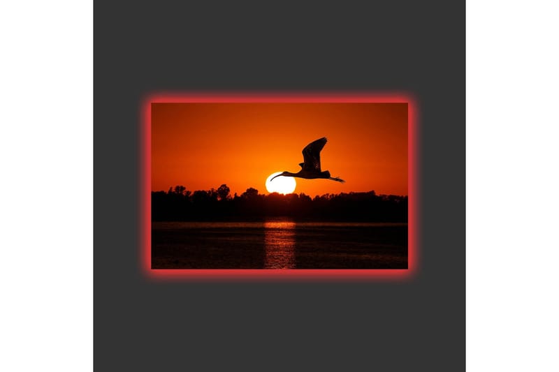 Lærredsbillede med LED-belysning - Silhuet af en fugl, der flyver mod en solnedgang - Orange / Sort - Boligtilbehør - Billeder & kunst - Billeder på lærred