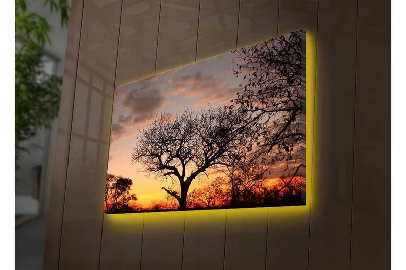 Lærredsbillede med LED-belysning - Silhuet af et træ mod en farverig solnedgang - Mørkebrun / Orange / Gul - Boligtilbehør - Billeder & kunst - Billeder på lærred