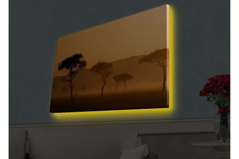 Lærredsbillede med LED-belysning - Silhuetter af træer i et tåget, gyldent landskab - Guld / Sort - Boligtilbehør - Billeder & kunst - Billeder på lærred