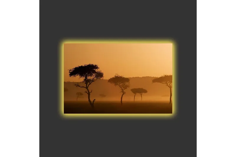 Lærredsbillede med LED-belysning - Silhuetter af træer i et tåget, gyldent landskab - Guld / Sort - Boligtilbehør - Billeder & kunst - Billeder på lærred