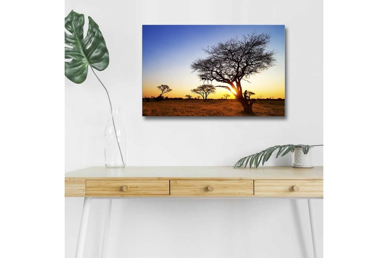 Lærredsbillede med LED-belysning - Silhuetter af træer mod en solnedgang på savannen, Guld / Blå / Sort