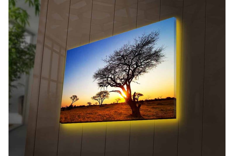 Lærredsbillede med LED-belysning - Silhuetter af træer mod en solnedgang på savannen - Guld / Blå / Sort - Boligtilbehør - Billeder & kunst - Billeder på lærred