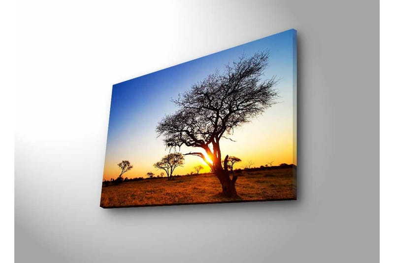 Lærredsbillede med LED-belysning - Silhuetter af træer mod en solnedgang på savannen - Guld / Blå / Sort - Boligtilbehør - Billeder & kunst - Billeder på lærred