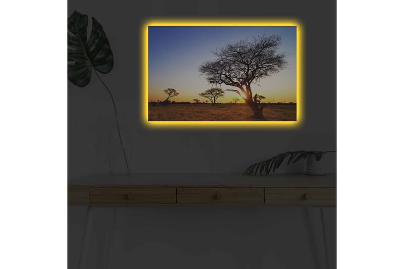 Lærredsbillede med LED-belysning - Silhuetter af træer mod en solnedgang på savannen - Guld / Blå / Sort - Boligtilbehør - Billeder & kunst - Billeder på lærred