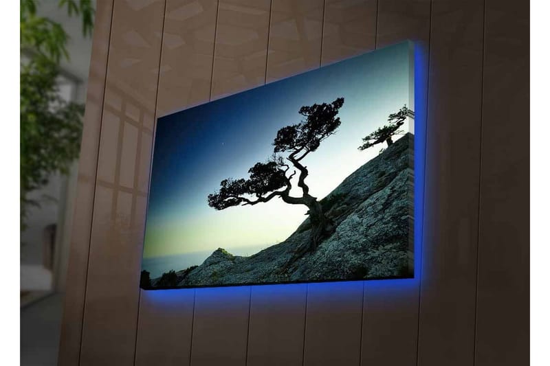 Lærredsbillede med LED-belysning - Smuk silhuet af et vindblæst træ på en klippe i skumringen - Mørkegrøn / Blå / Lysegrøn - Boligtilbehør - Billeder & kunst - Billeder på lærred
