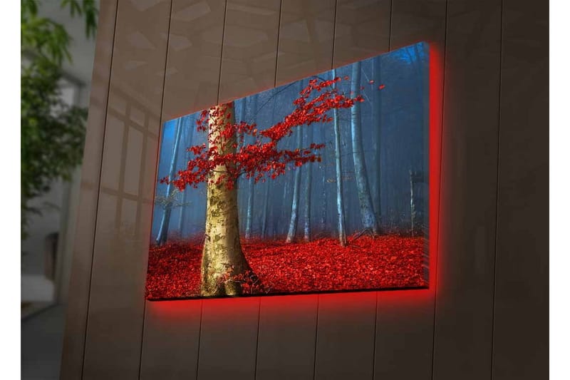 Lærredsbillede med LED-belysning - Smuk skov med røde efterårsblade og en lys stamme i tågen - Rød / Grøn / Blå - Boligtilbehør - Billeder & kunst - Billeder på lærred