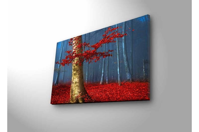 Lærredsbillede med LED-belysning - Smuk skov med røde efterårsblade og en lys stamme i tågen - Rød / Grøn / Blå - Boligtilbehør - Billeder & kunst - Billeder på lærred