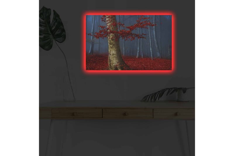 Lærredsbillede med LED-belysning - Smuk skov med røde efterårsblade og en lys stamme i tågen - Rød / Grøn / Blå - Boligtilbehør - Billeder & kunst - Billeder på lærred