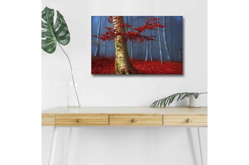 Lærredsbillede med LED-belysning - Smuk skov med røde efterårsblade og en lys stamme i tågen, Rød / Grøn / Blå
