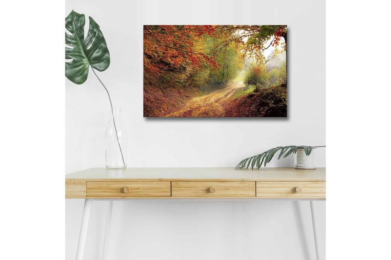 Lærredsbillede med LED-belysning - Smuk skovsti omgivet af efterårsfarver, Rød / Grøn / Brun