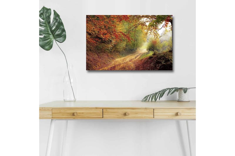 Lærredsbillede med LED-belysning - Smuk skovsti omgivet af efterårsfarver, Rød / Grøn / Brun
