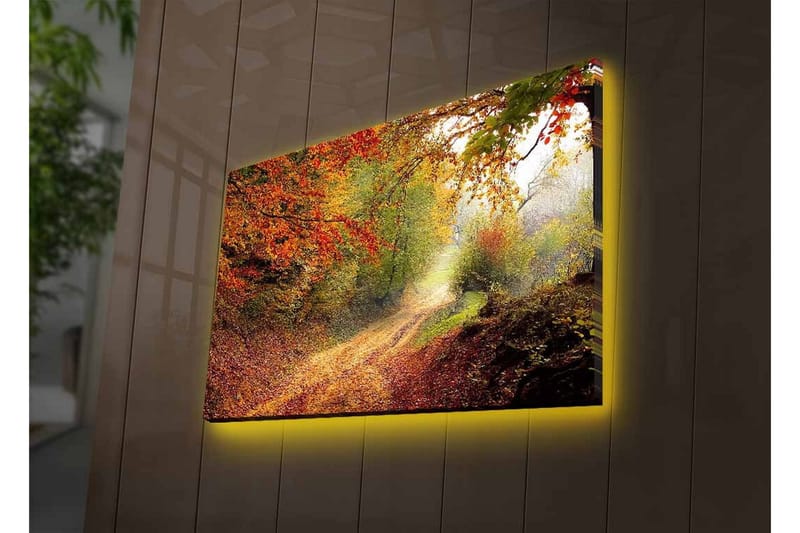 Lærredsbillede med LED-belysning - Smuk skovsti omgivet af efterårsfarver - Rød / Grøn / Brun - Boligtilbehør - Billeder & kunst - Billeder på lærred