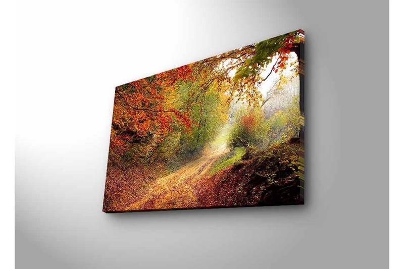 Lærredsbillede med LED-belysning - Smuk skovsti omgivet af efterårsfarver - Rød / Grøn / Brun - Boligtilbehør - Billeder & kunst - Billeder på lærred