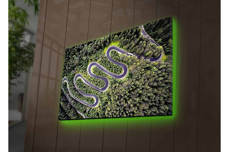 Lærredsbillede med LED-belysning - Smuk udsigt over en snoet vej gennem tæt, frodig skov - Grøn / Grå / Sort - Boligtilbehør - Billeder & kunst - Billeder på lærred