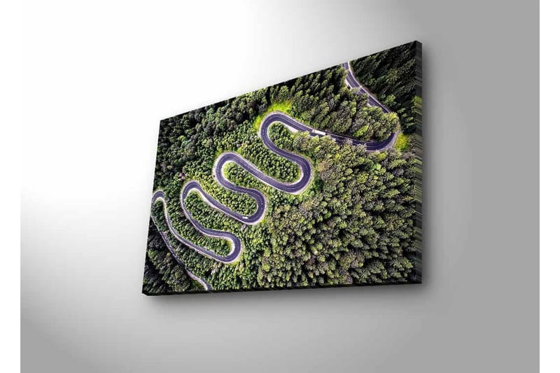 Lærredsbillede med LED-belysning - Smuk udsigt over en snoet vej gennem tæt, frodig skov - Grøn / Grå / Sort - Boligtilbehør - Billeder & kunst - Billeder på lærred