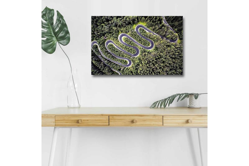 Lærredsbillede med LED-belysning - Smuk udsigt over en snoet vej gennem tæt, frodig skov - Grøn / Grå / Sort - Boligtilbehør - Billeder & kunst - Billeder på lærred