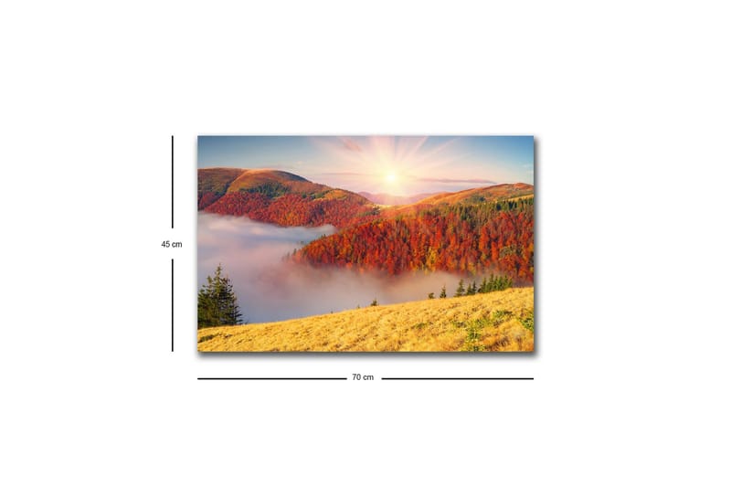 Lærredsbillede med LED-belysning - Smukt efterårslandskab med farverige træer og solopgang - Rød / Orange / Gul - Boligtilbehør - Billeder & kunst - Billeder på lærred