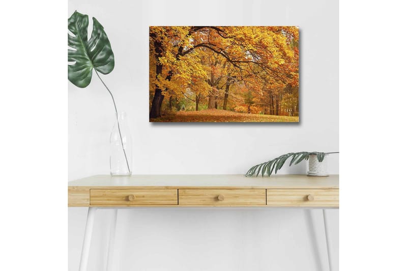 Lærredsbillede med LED-belysning - Smukt efterårslandskab med gyldne og orange løvfældende træer, Guld / Orange / Brun