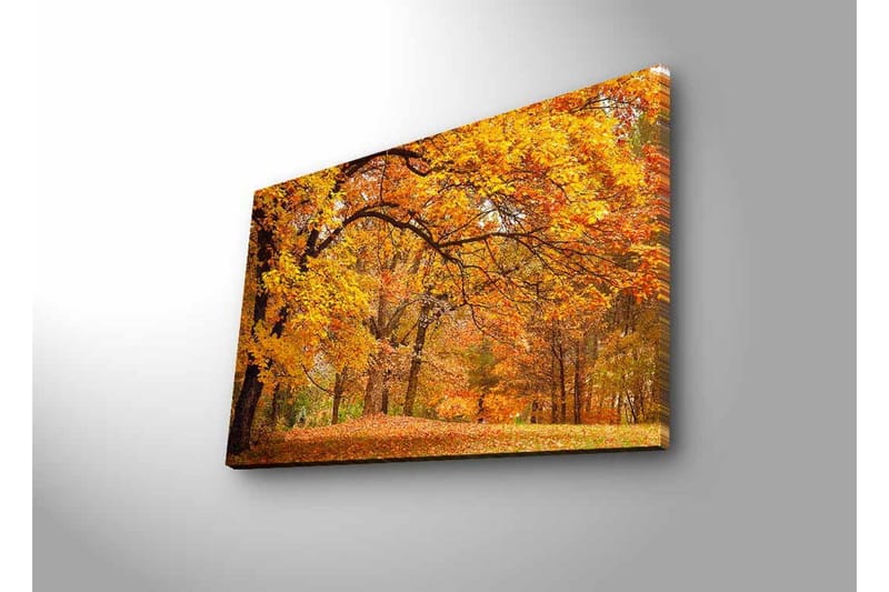 Lærredsbillede med LED-belysning - Smukt efterårslandskab med gyldne og orange løvfældende træer - Guld / Orange / Brun - Boligtilbehør - Billeder & kunst - Billeder på lærred