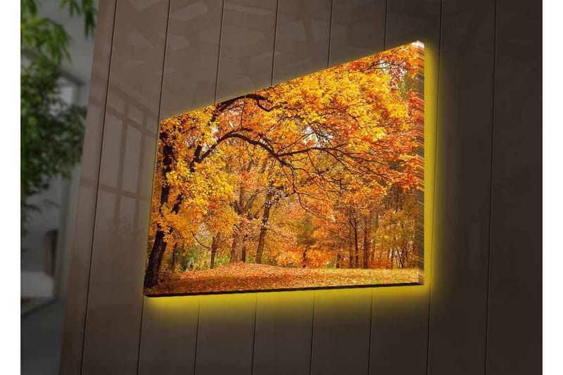 Lærredsbillede med LED-belysning - Smukt efterårslandskab med gyldne og orange løvfældende træer - Guld / Orange / Brun - Boligtilbehør - Billeder & kunst - Billeder på lærred