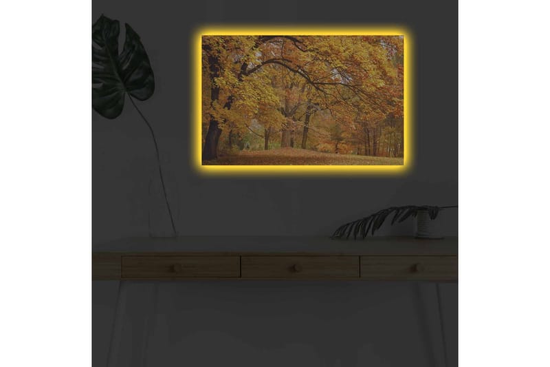 Lærredsbillede med LED-belysning - Smukt efterårslandskab med gyldne og orange løvfældende træer - Guld / Orange / Brun - Boligtilbehør - Billeder & kunst - Billeder på lærred