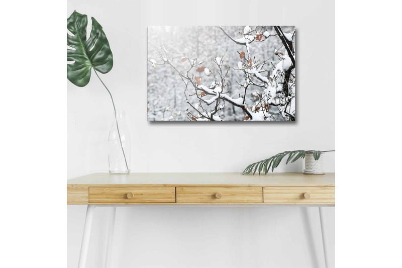 Lærredsbillede med LED-belysning - Snedækkede grene med brune blade, Hvid / Brun / Grå