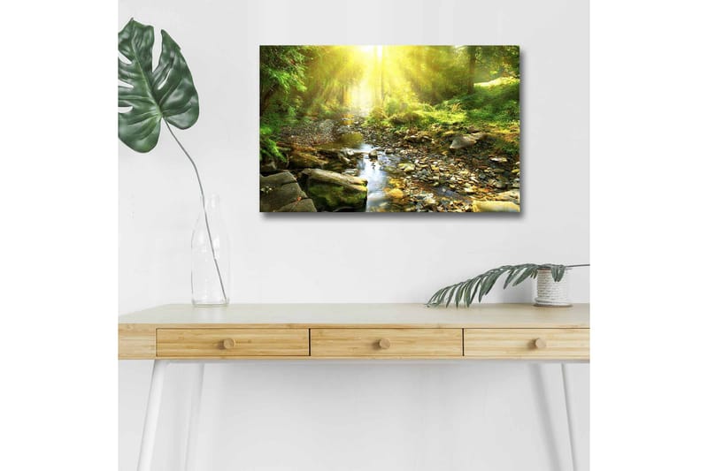 Lærredsbillede med LED-belysning - Solbelyst skov med en rislende bæk, Grøn / Gul / Brun