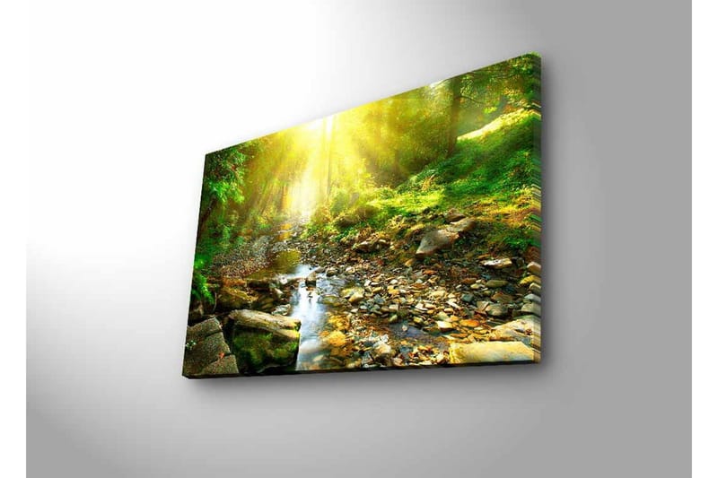 Lærredsbillede med LED-belysning - Solbelyst skov med en rislende bæk - Grøn / Gul / Brun - Boligtilbehør - Billeder & kunst - Billeder på lærred