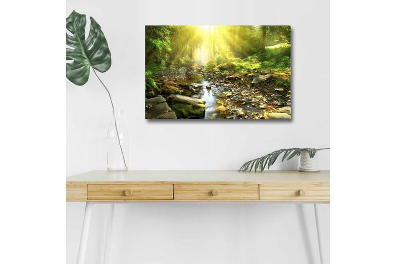 Lærredsbillede med LED-belysning - Solbelyst skov med en rislende bæk, Grøn / Gul / Brun
