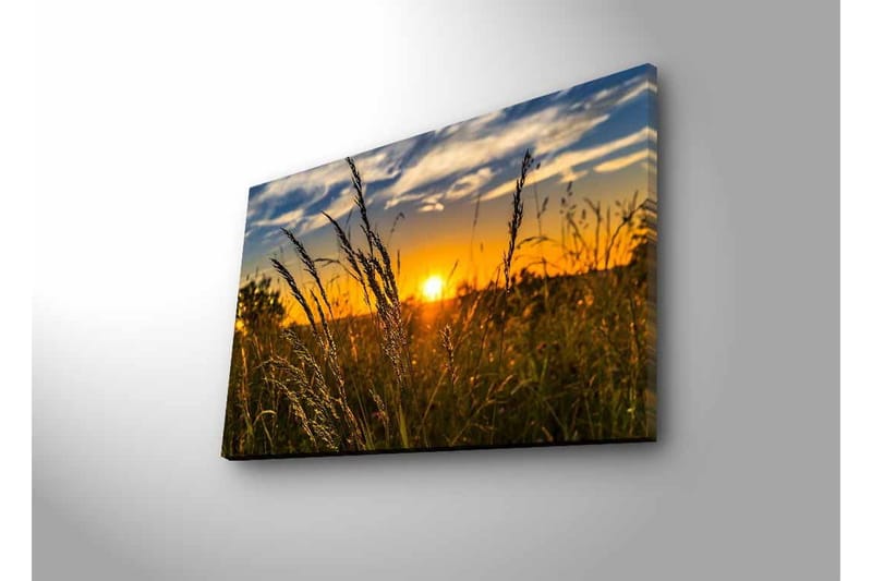 Lærredsbillede med LED-belysning - Solnedgang over en mark med græsstrå i forgrunden - Guld / Orange / Blå - Boligtilbehør - Billeder & kunst - Billeder på lærred