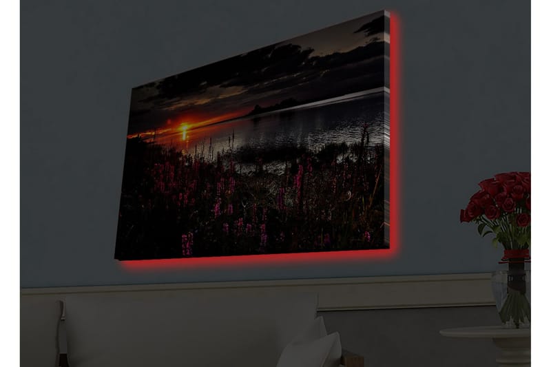 Lærredsbillede med LED-belysning - Solnedgang over en spejlblank sø med blomstrende planter i forgrunden - Mørk pink / Orange / Sort - Boligtilbehør - Billeder & kunst - Billeder på lærred