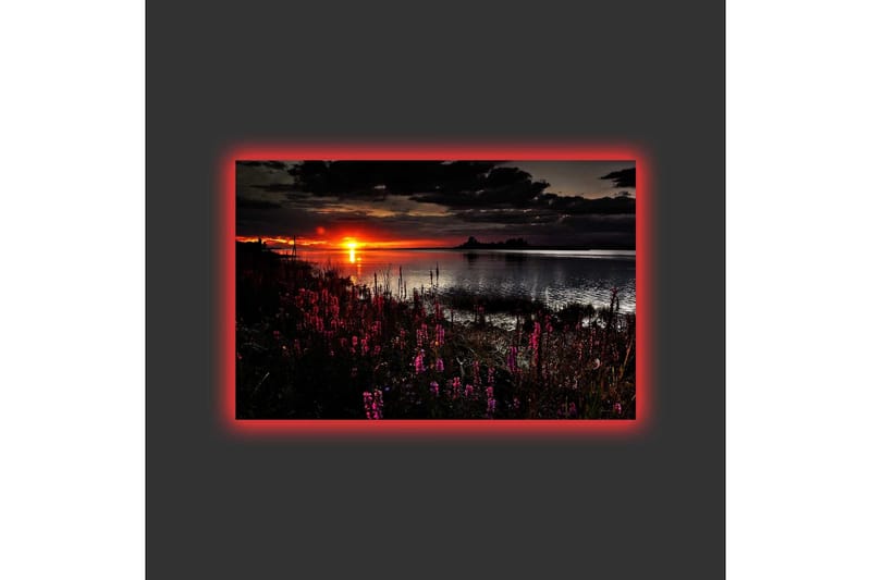 Lærredsbillede med LED-belysning - Solnedgang over en spejlblank sø med blomstrende planter i forgrunden - Mørk pink / Orange / Sort - Boligtilbehør - Billeder & kunst - Billeder på lærred