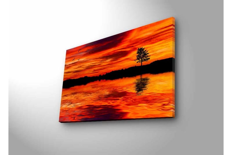 Lærredsbillede med LED-belysning - Solnedgang over roligt vand med silhuet af et ensomt træ - Orange / Rød / Sort - Boligtilbehør - Billeder & kunst - Billeder på lærred