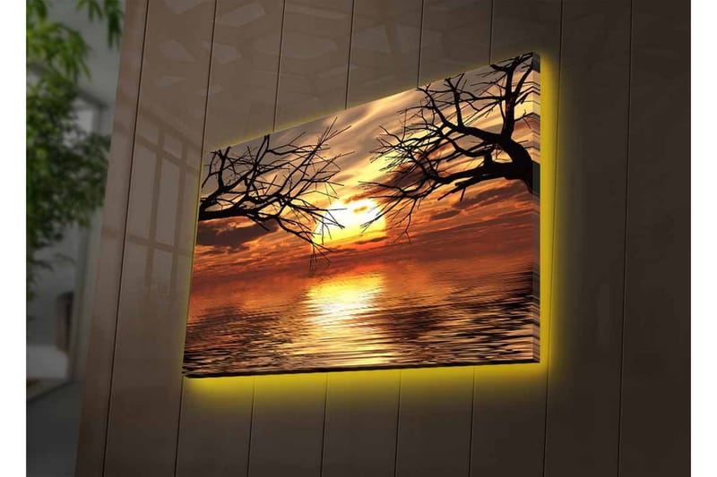Lærredsbillede med LED-belysning - Solnedgang over spejlblanke vandflader med silhuetter af trægrene - Guld / Orange / Sort - Boligtilbehør - Billeder & kunst - Billeder på lærred