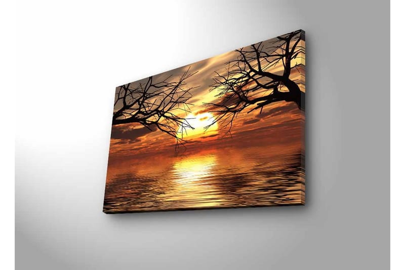 Lærredsbillede med LED-belysning - Solnedgang over spejlblanke vandflader med silhuetter af trægrene - Guld / Orange / Sort - Boligtilbehør - Billeder & kunst - Billeder på lærred