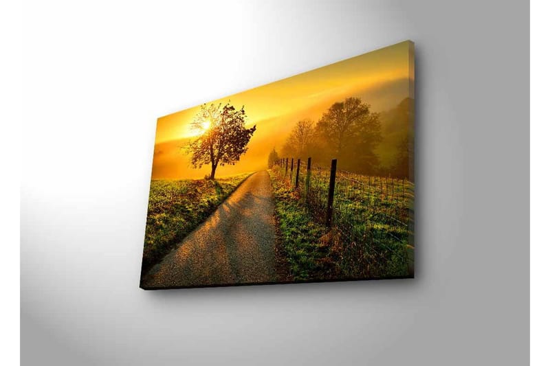 Lærredsbillede med LED-belysning - Solopgang over en snoet vej med træer og et hegn - Guld / Grøn / Brun - Boligtilbehør - Billeder & kunst - Billeder på lærred