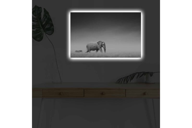 Lærredsbillede med LED-belysning - Sort-hvidt billede af en elefant, der går gennem savannen med en zebra i baggrunden - Sort / Hvid / Grå - Boligtilbehør - Billeder & kunst - Billeder på lærred